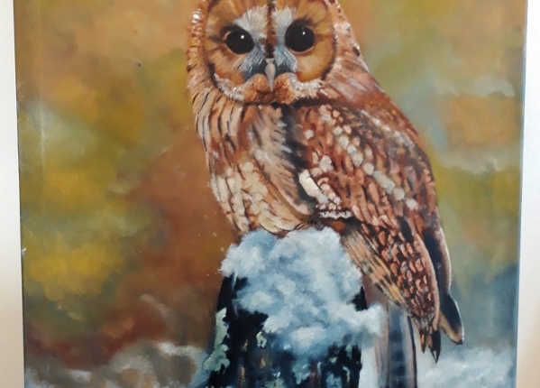 20181105_074542 (599x800)