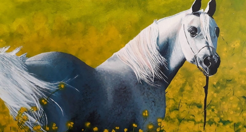 20181105_074557 (800x600)