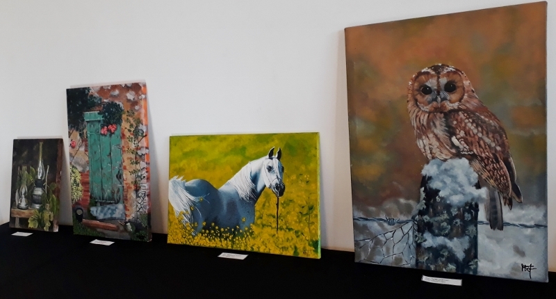 20181105_074939 (800x454)