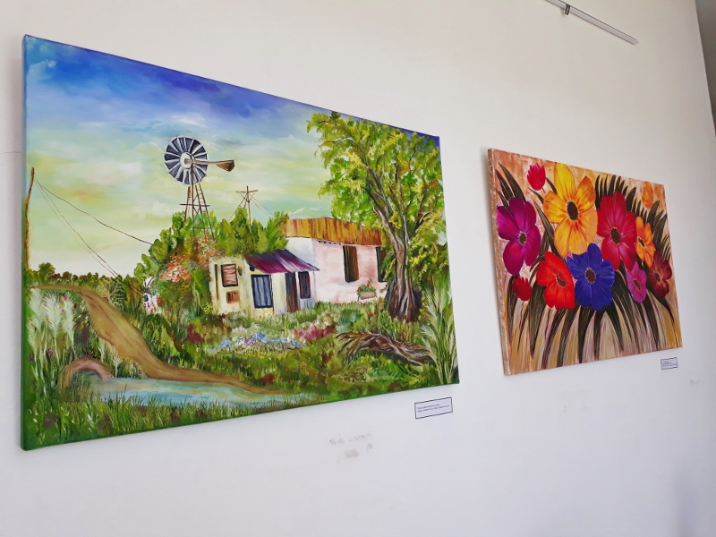 20181010_134057 (800x600)