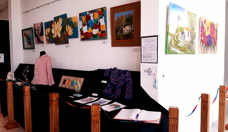 20181010_134910 (800x466)