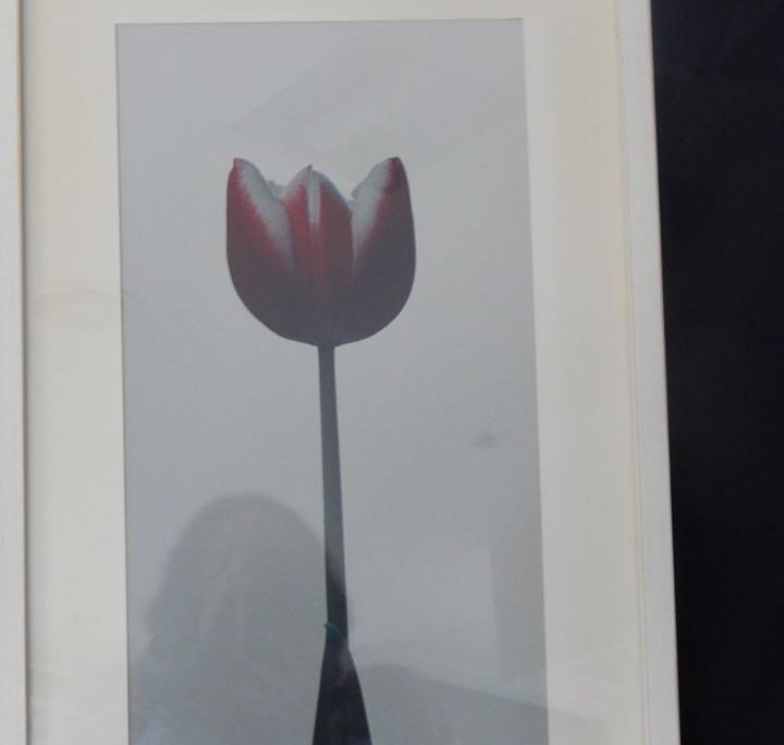 29102085_964467573714206_7993263908358929119_n